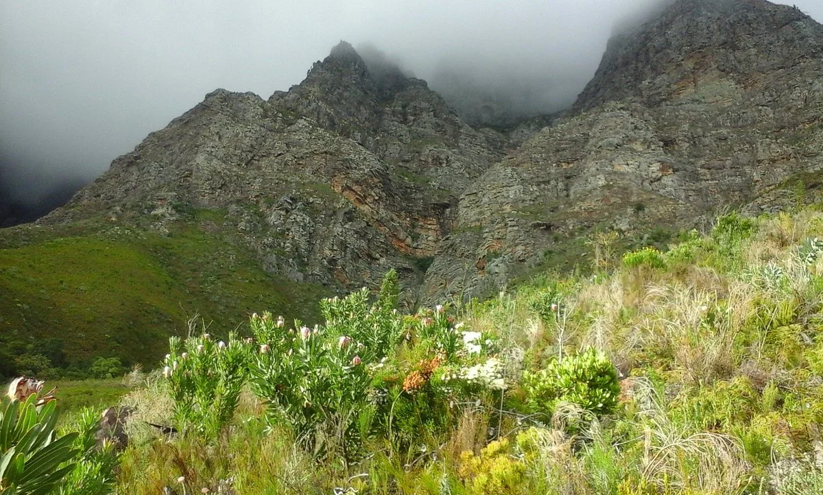 Franschhoek Adventures