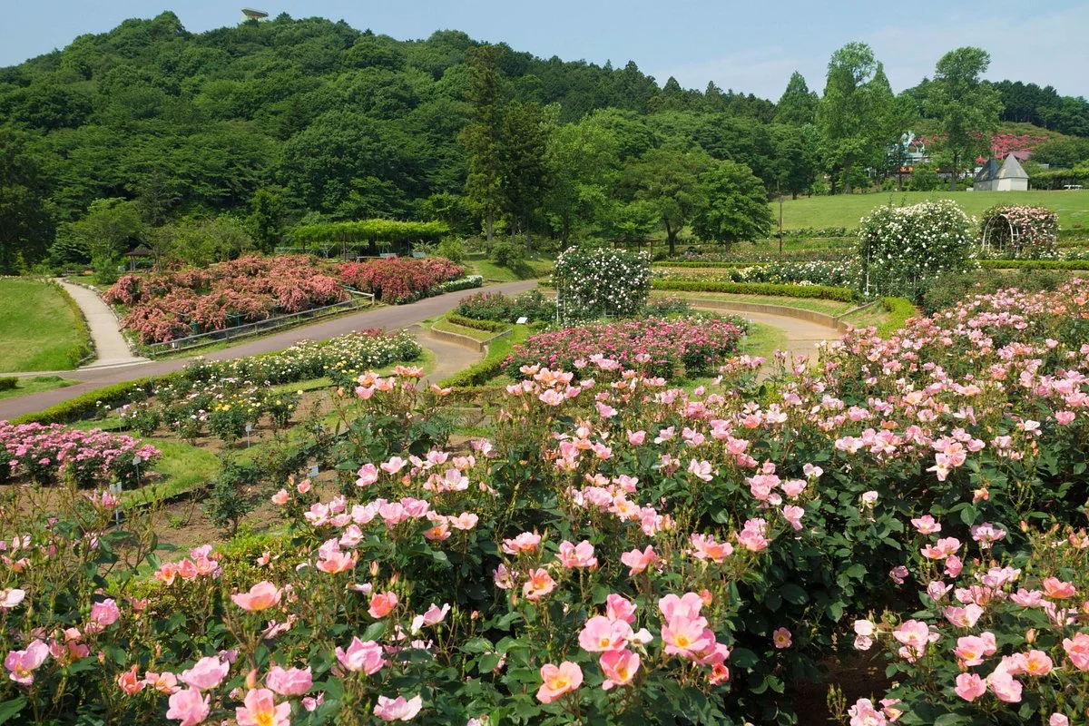 Ibaraki Flower Park