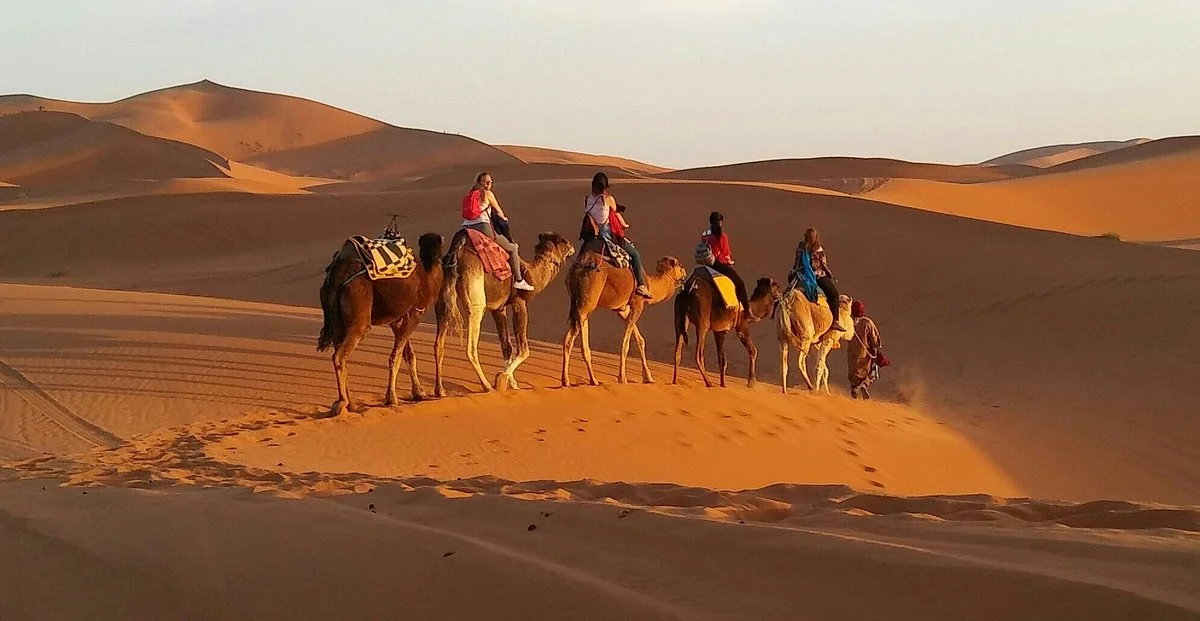 Al Son Morocco