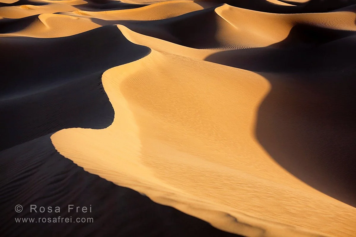 Rosa Frei Morocco Photo Tours