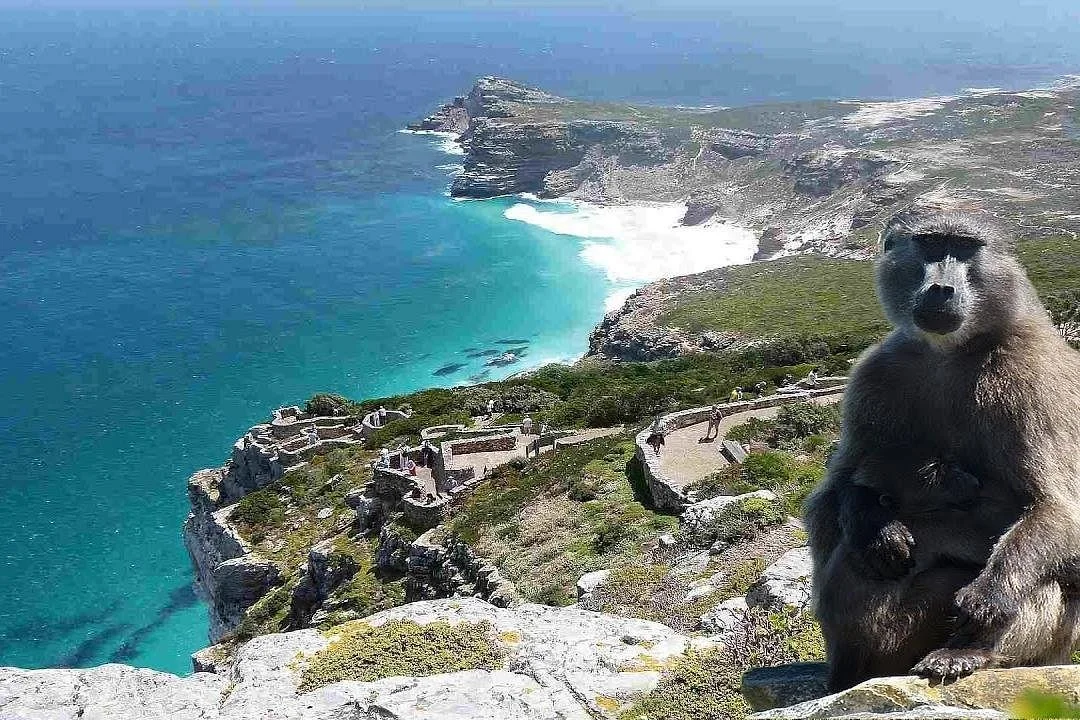 Batende Travel & Tours