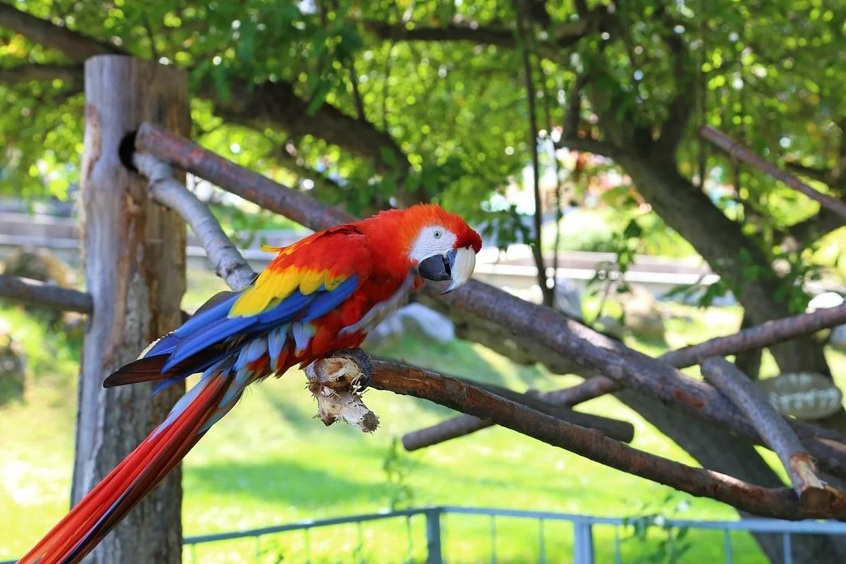 Obihiro Zoo