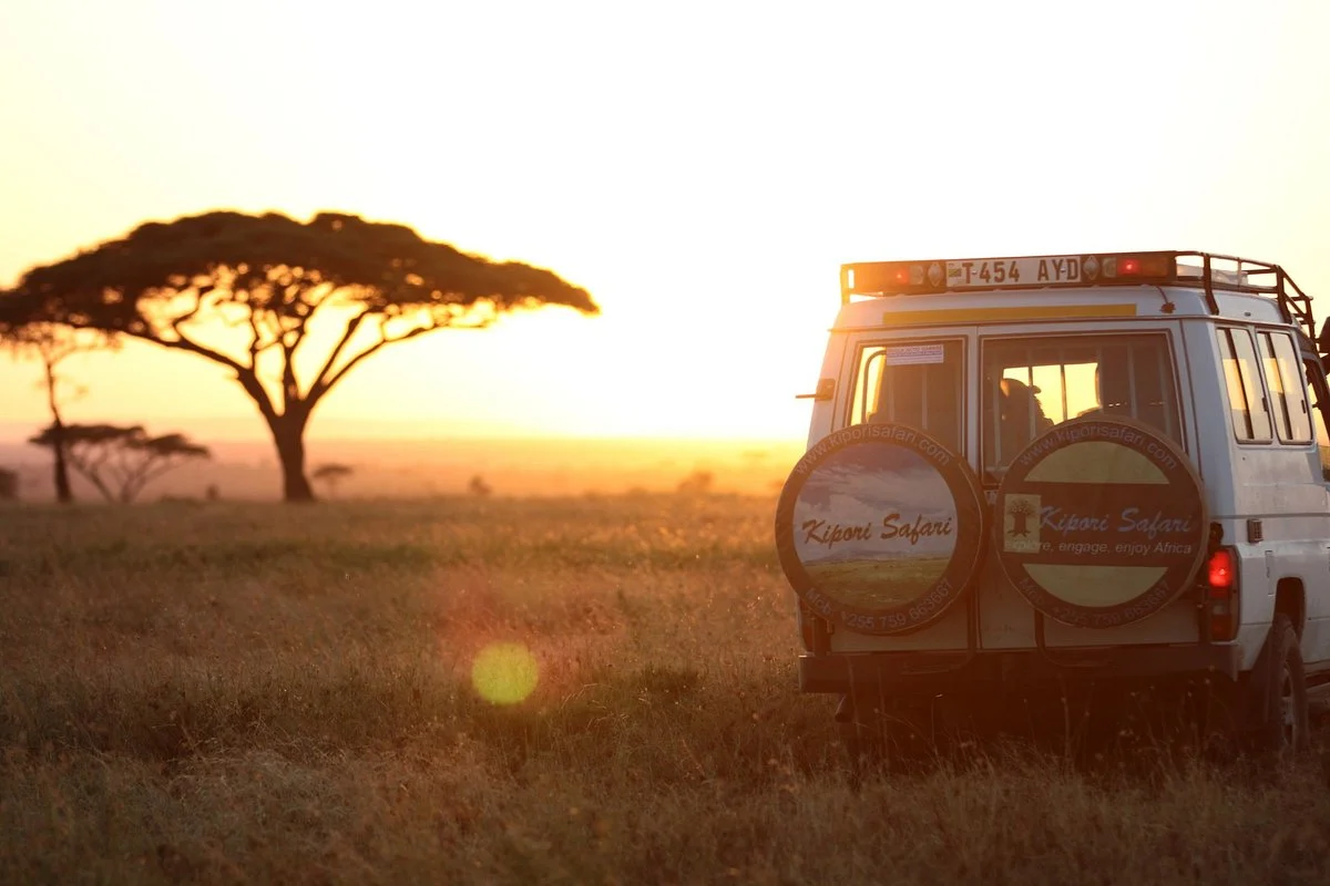 Kipori Safari