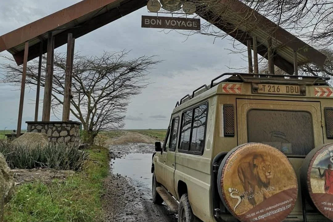 Steps of Africa Safaris