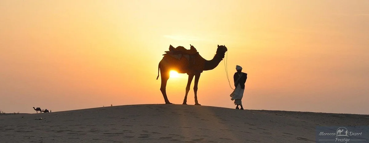 Morocco Royal Tour