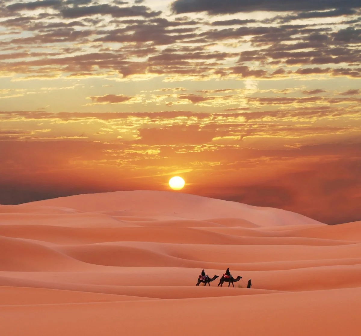 Morocco Quality Tours