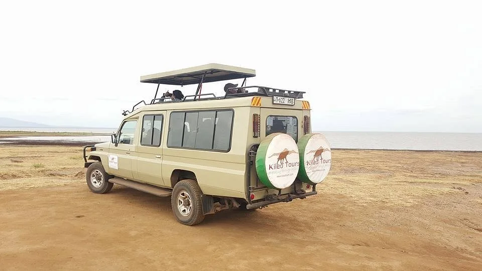 Kileo Tours & Safaris Company Ltd
