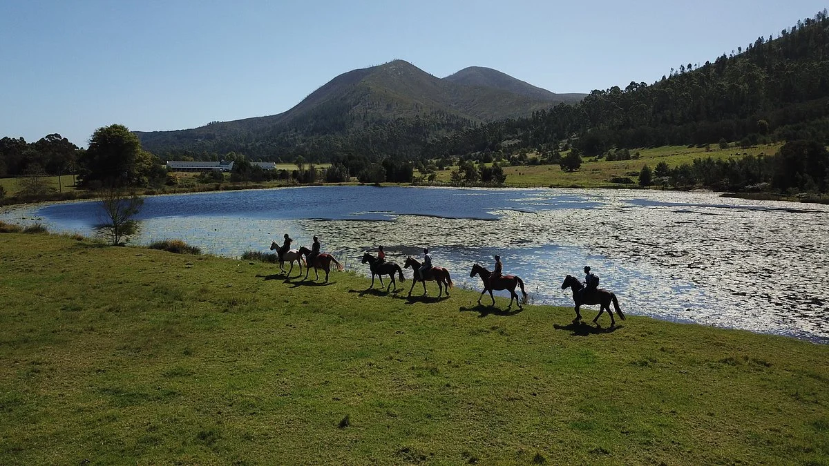 Kurland Park Horse Trails