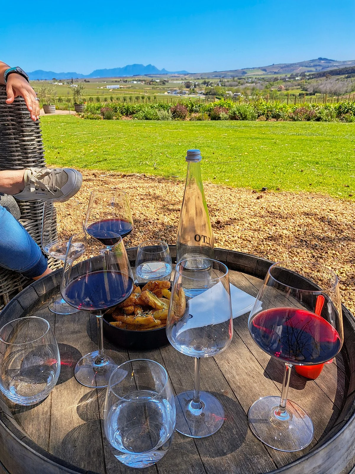 Alto Wine Estate