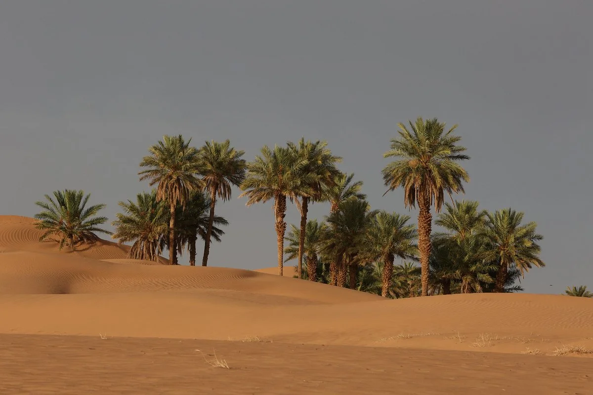 desert morocco discovery