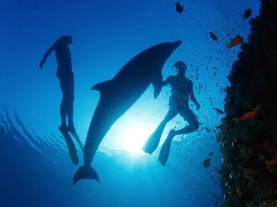 Jasmine Tours Hurghada