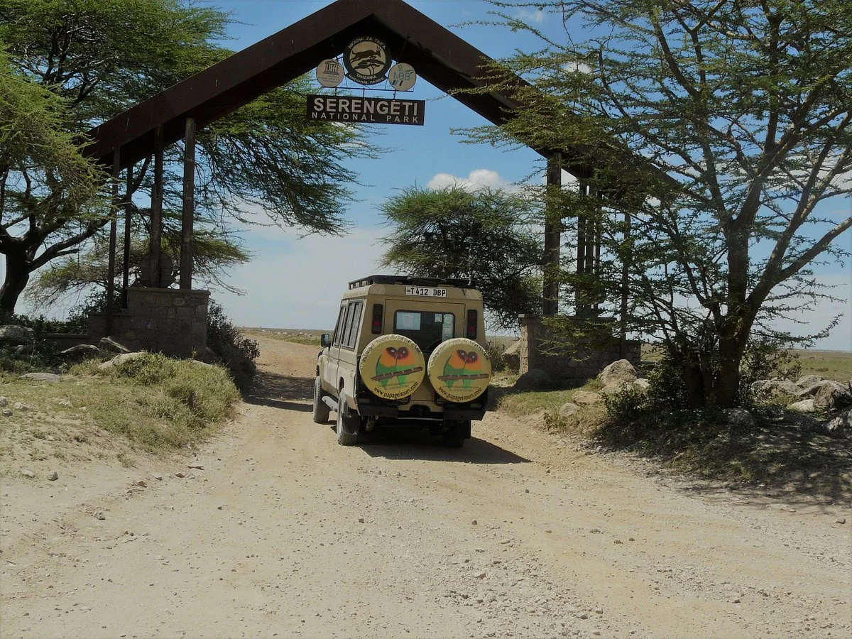 Papagei Tours