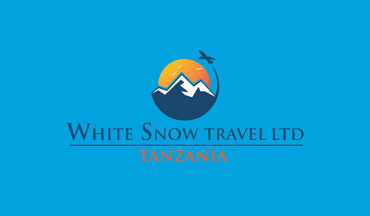 White Snow Travel