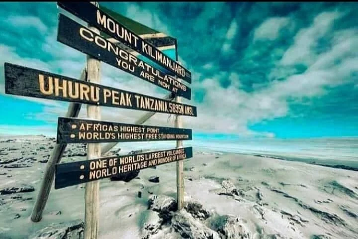 Kilimanjaro Mountain Guide
