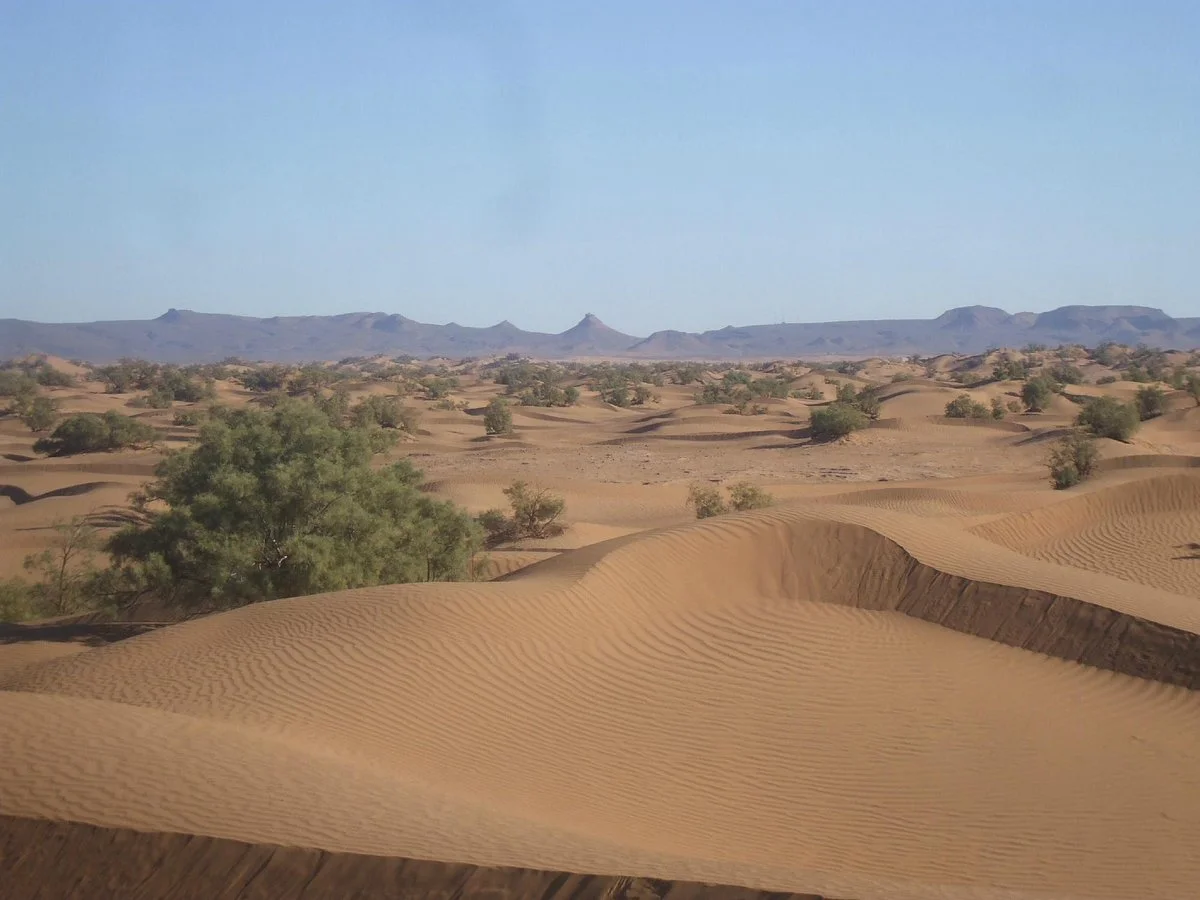 Discovering South Morocco
