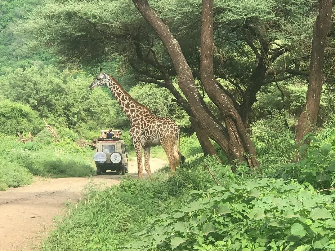 Losirwa Safaris (T) Ltd.