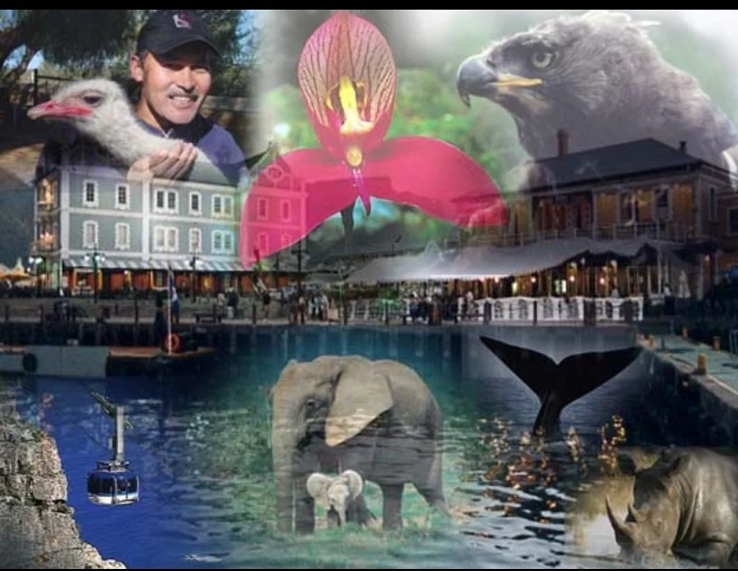 Explore the Cape Tours & Safaris