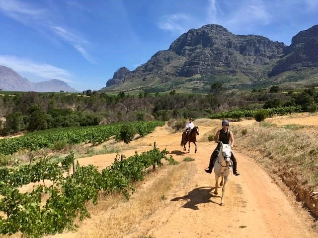 Cape Winelands Riding