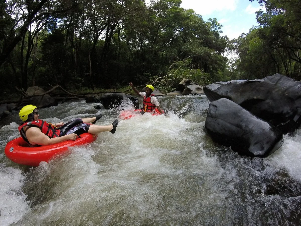 Crowned Eagle Tours and Safaris