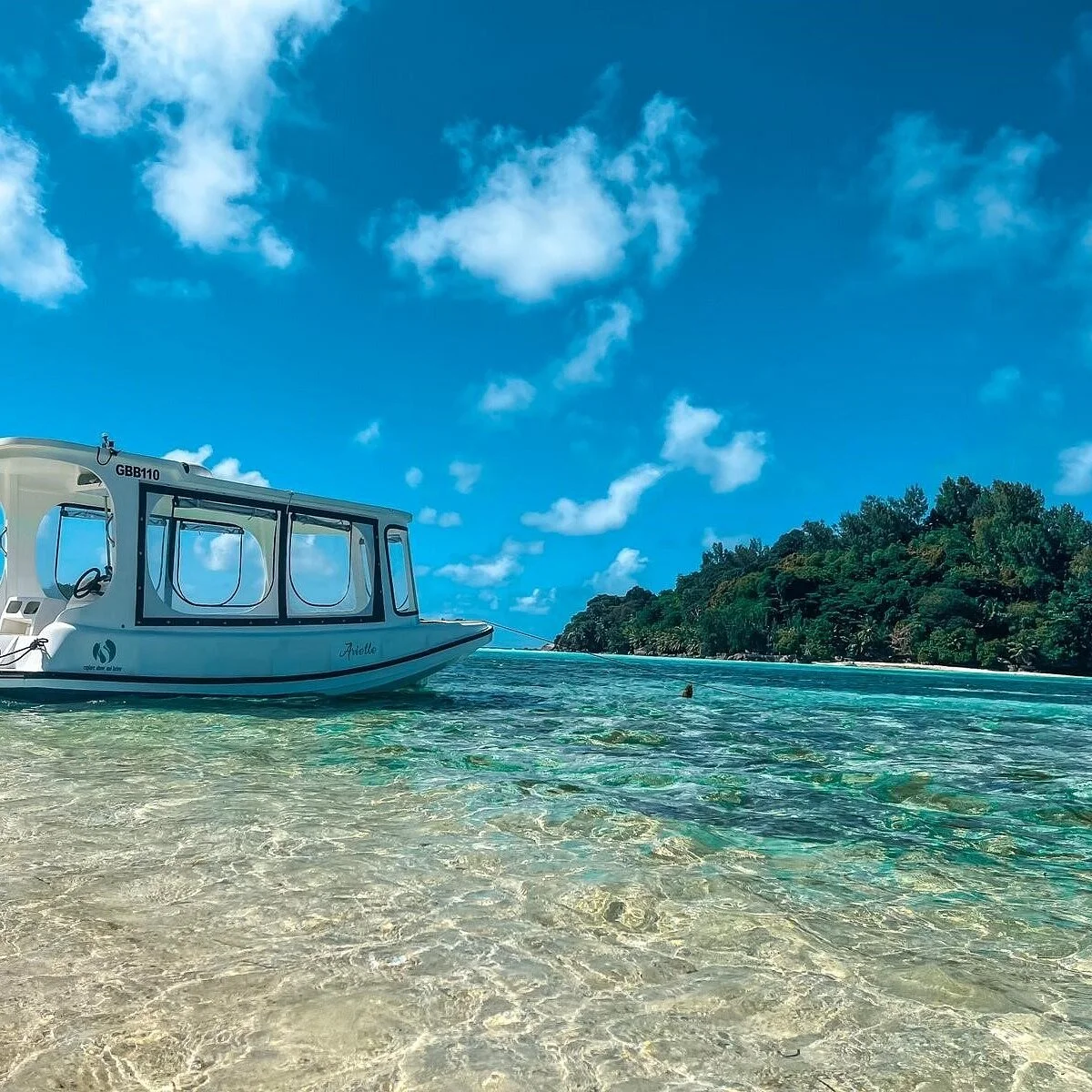 Arielles Glass Bottom Boat