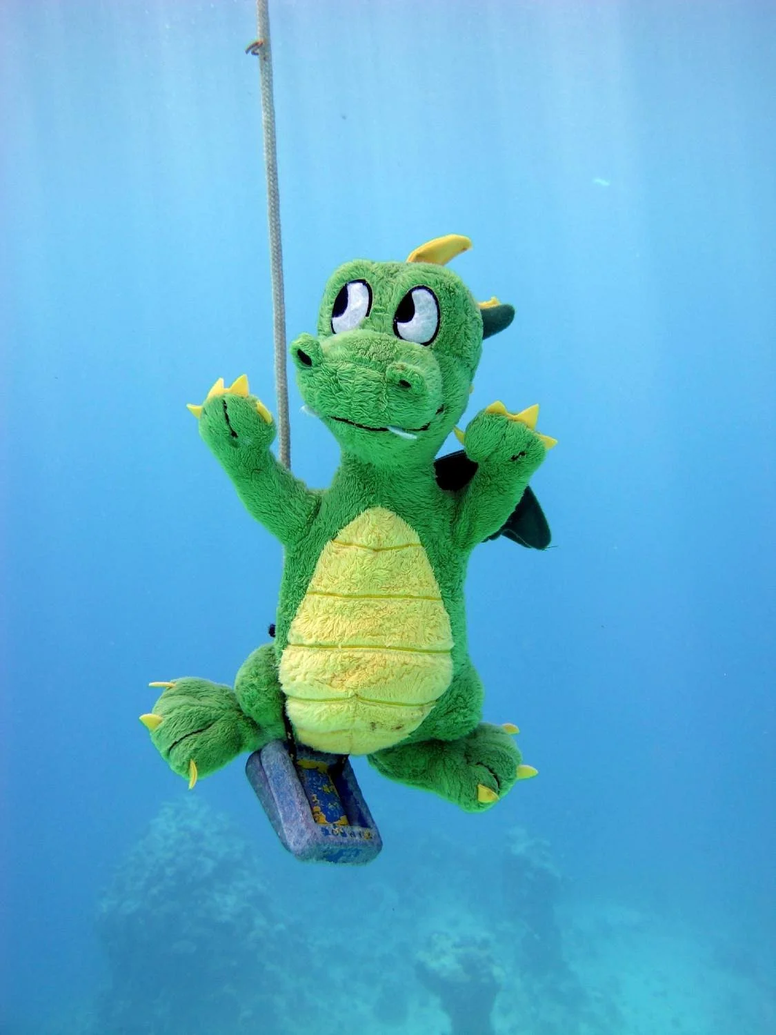 Dinos Diving Hurghada