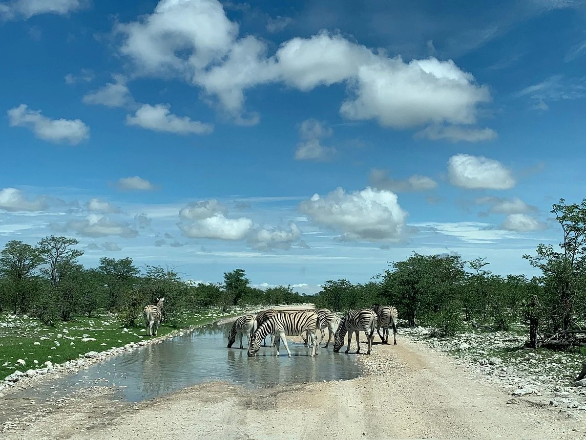 Africa 4x4 Rentals