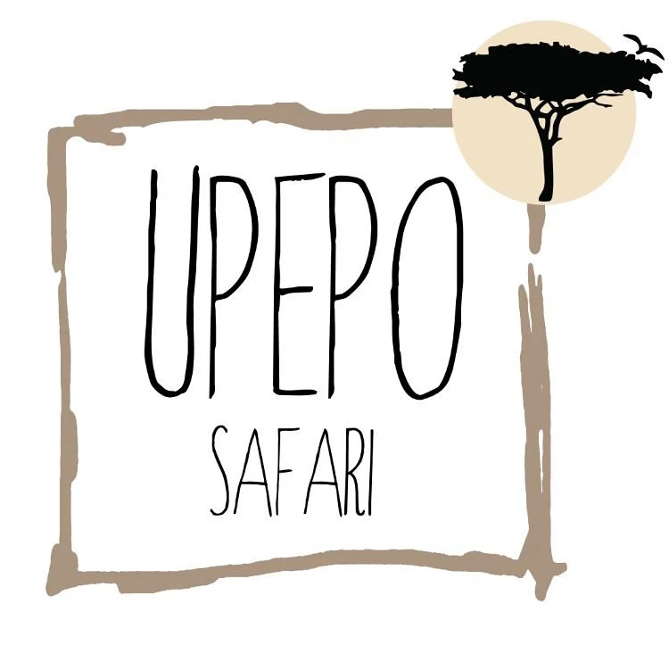 Upepo Safari