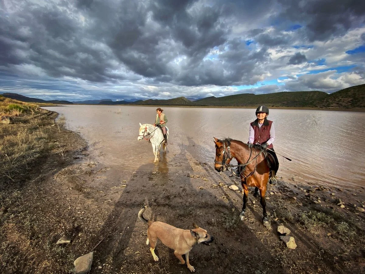 De Rust Horseriding - Klein Karoo Horse Adventures
