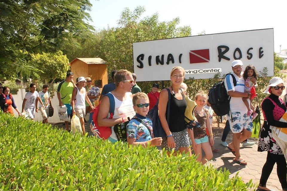 Sinai Rose Diving Center