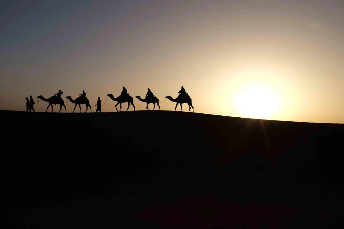 Magic Desert Tours