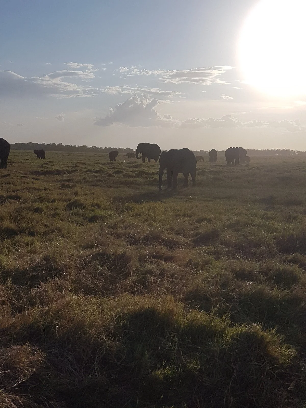 Wildtouch Tours & Travel