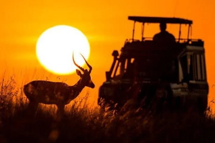 Erimpala Safaris