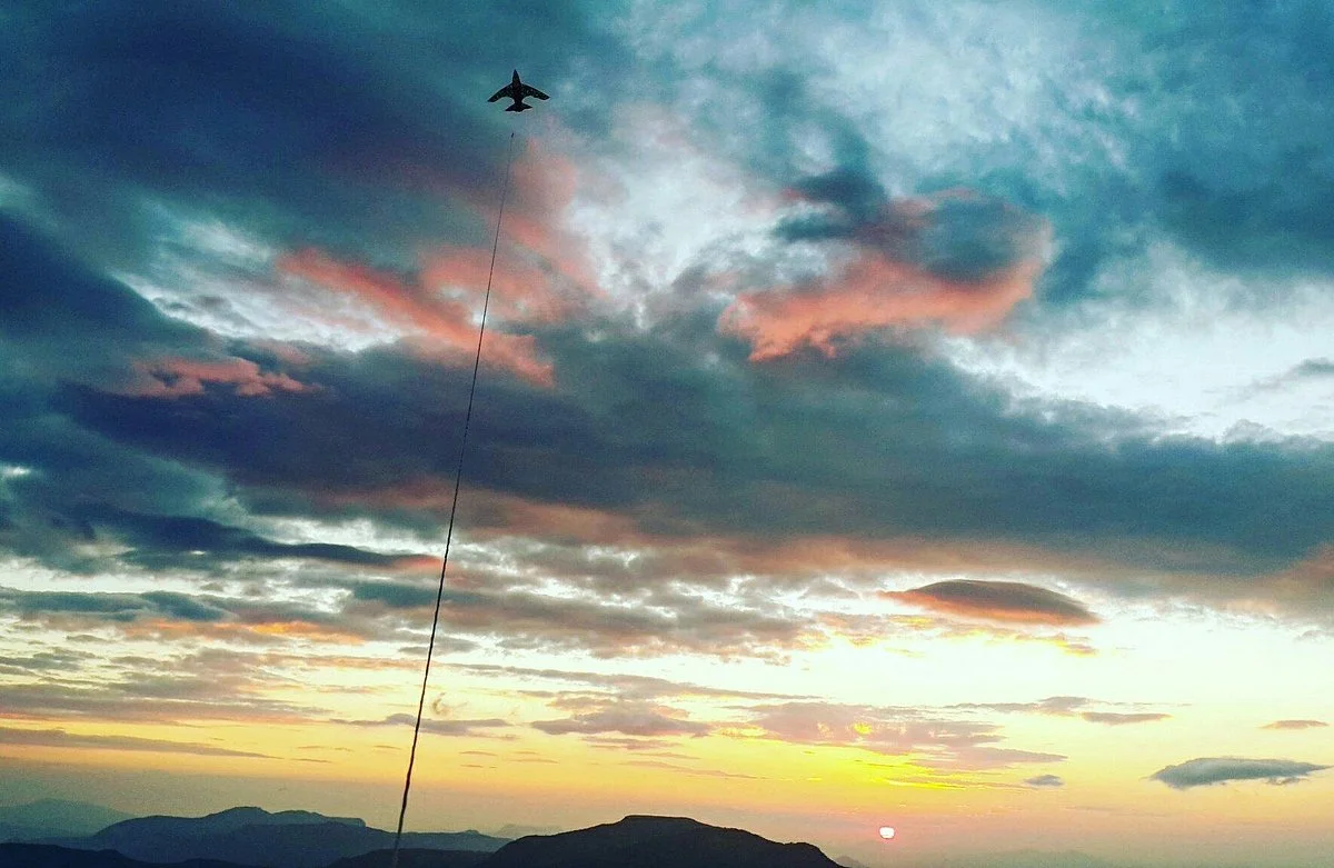 Eastern Highlands and Mutare Tours