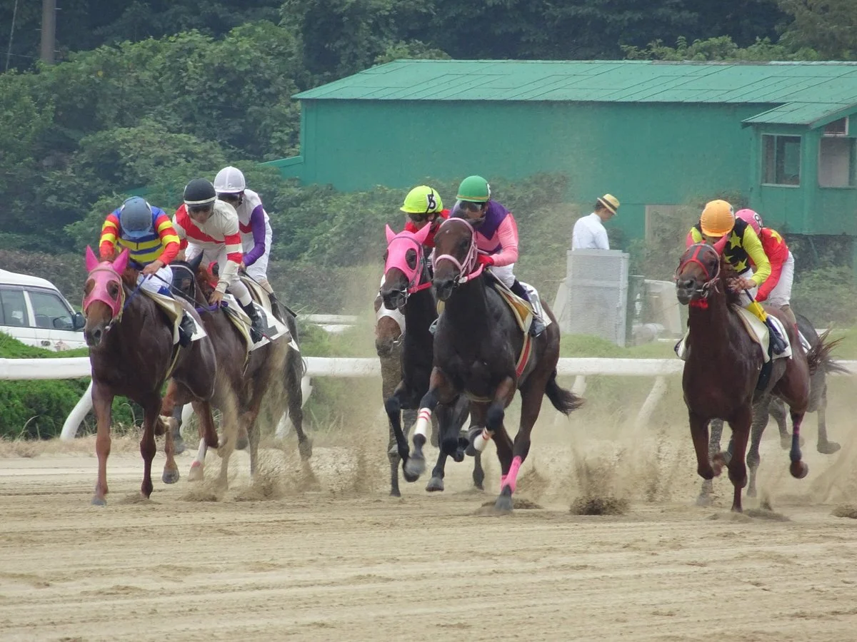 Saga Horse Racetrack