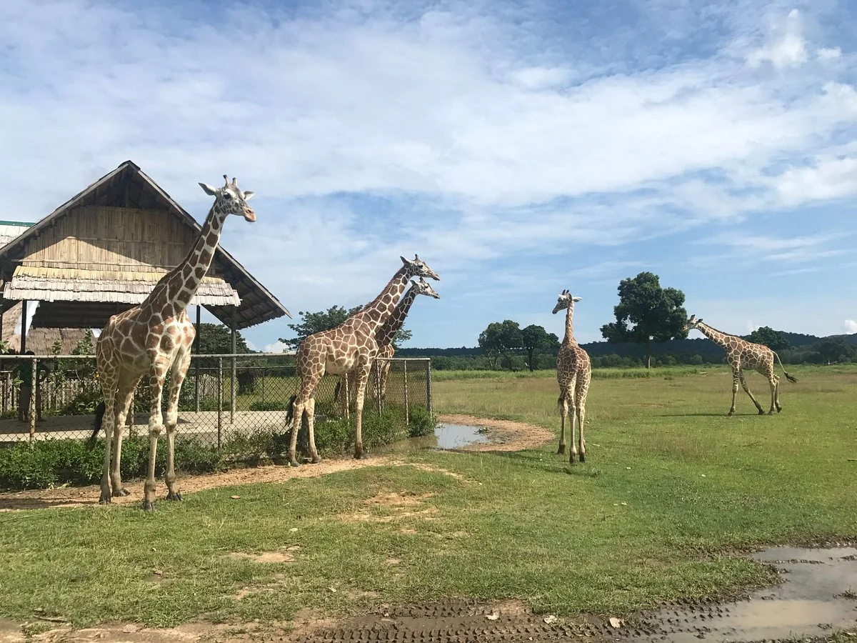 Calauit Wildlife Sanctuary