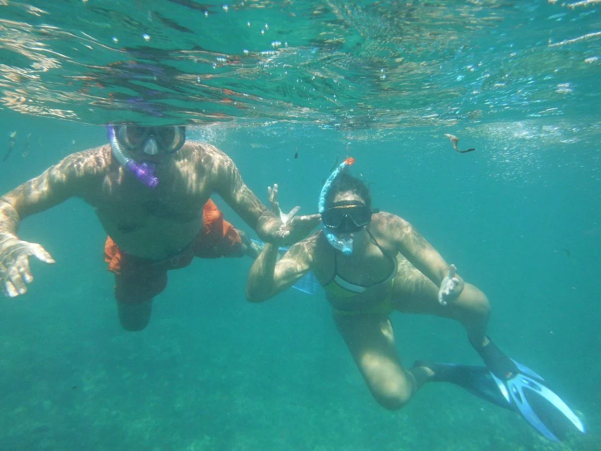 Reef Tour Mafia Island
