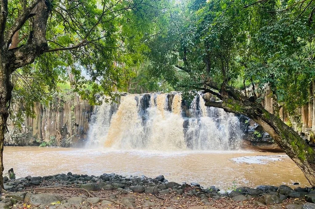 Paradise In Your Palm Tours
