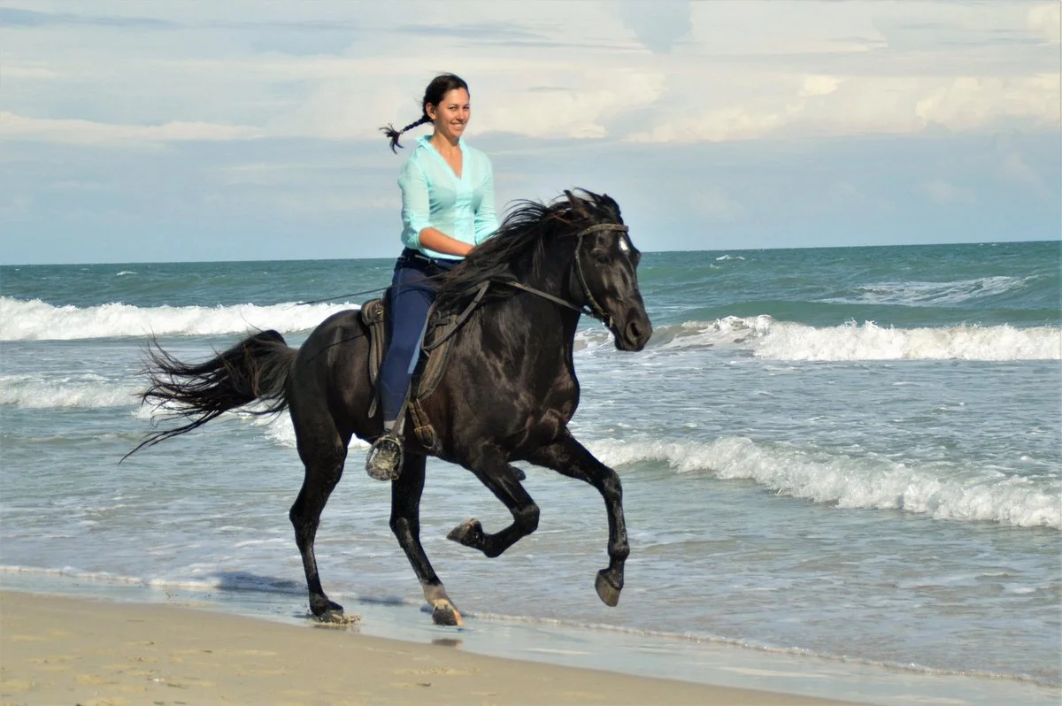 Djerba Zitouna Stables