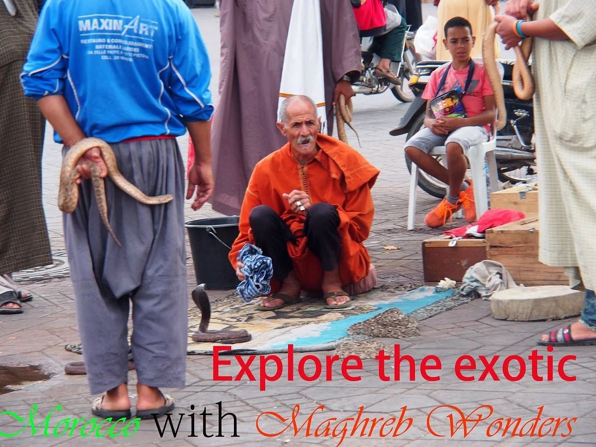 Maghreb Wonders