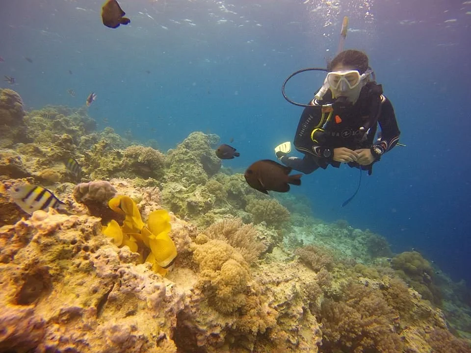 Dreams Diving Center