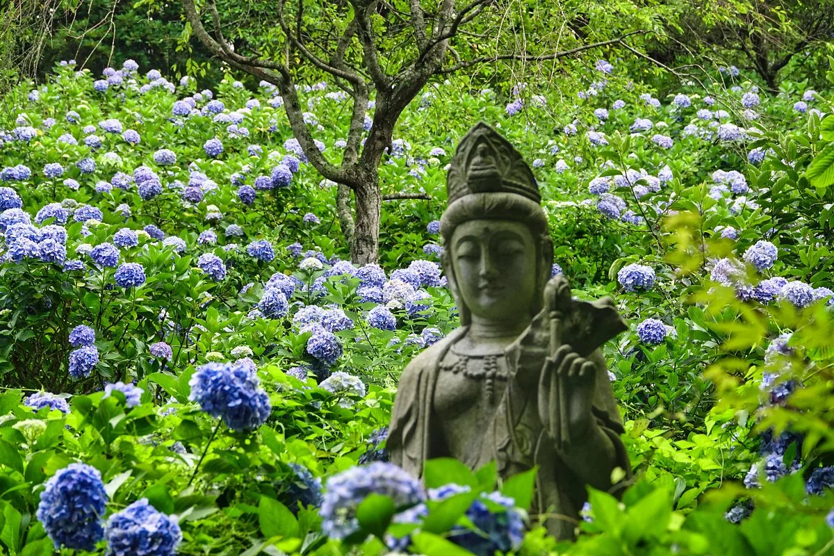 Myohoshoji Temple