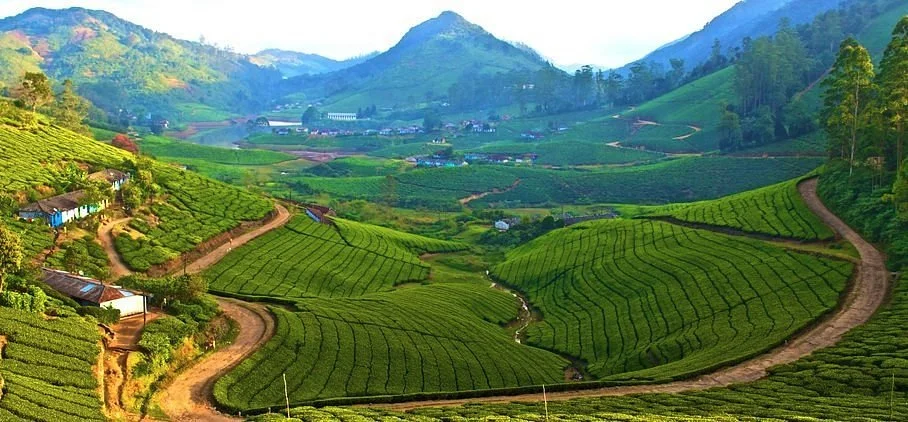 Meghamalai - High Wavy Mountains