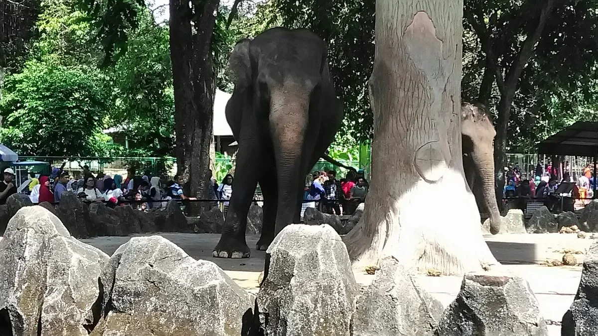 Ragunan Zoo