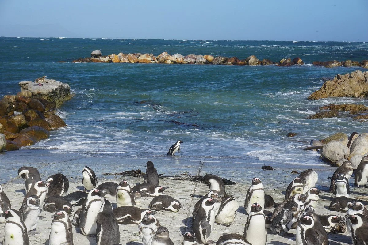 Personal Cape Town Tours Day Tours