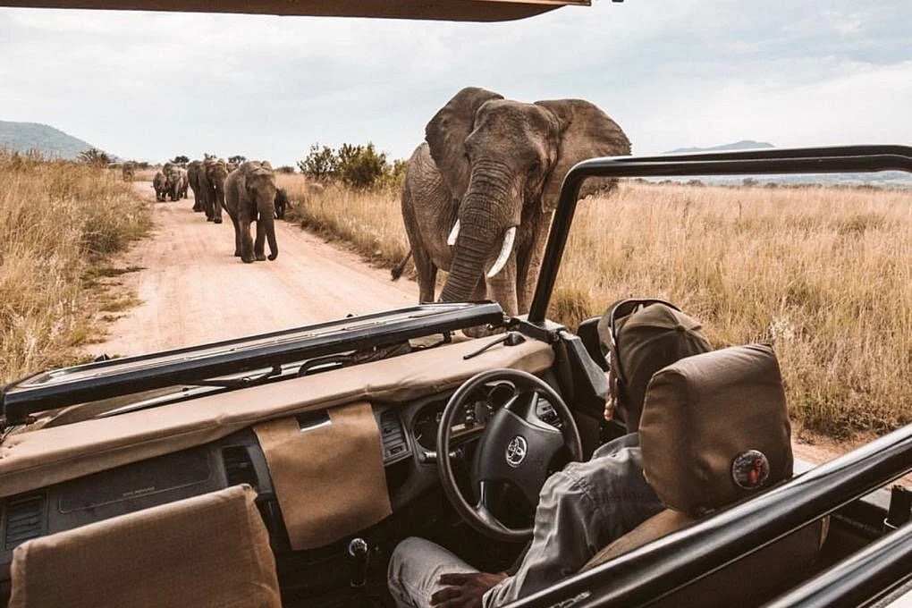 Batoka Safaris