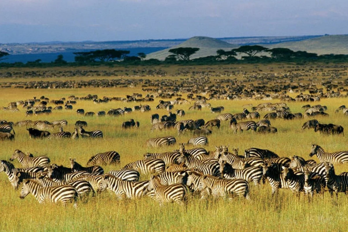 Aquila Venture Tours and Safaris