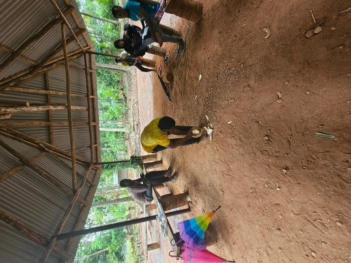 Siso Spice Farm
