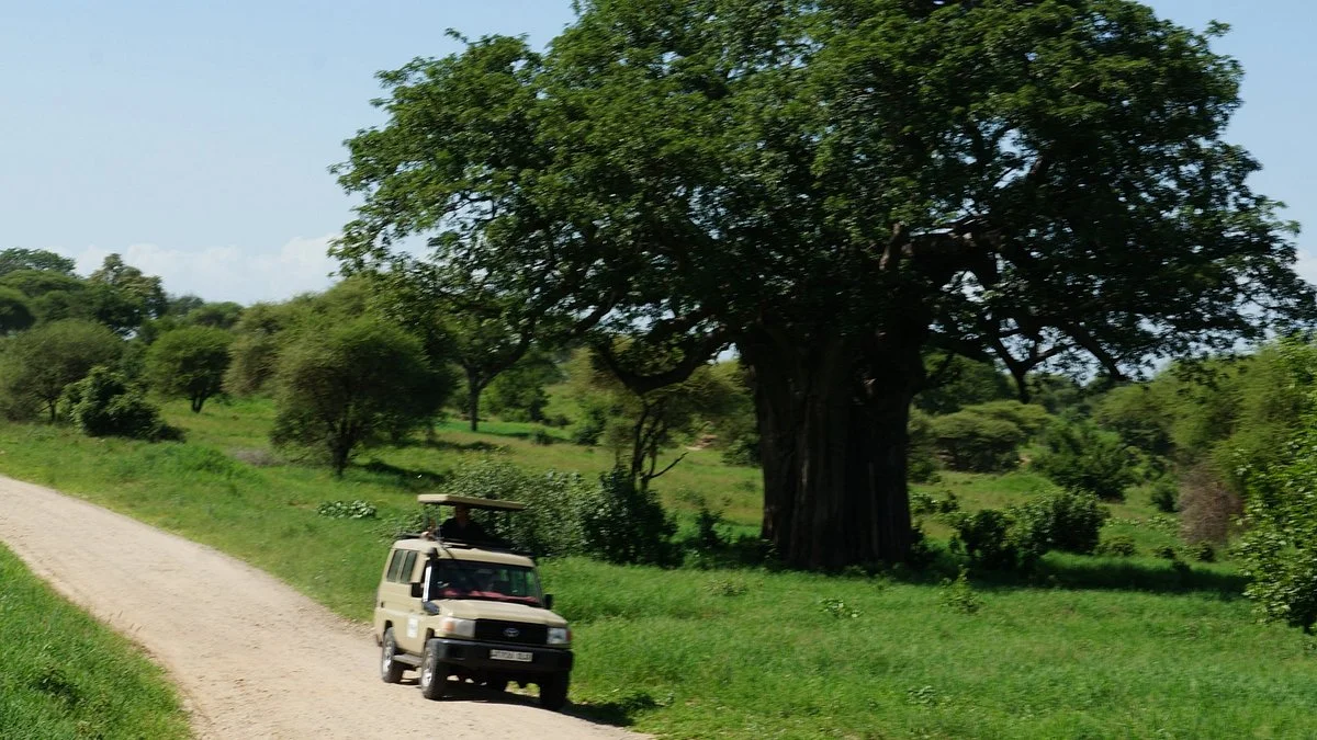 Tanga Wonders Adventures Tours & Safaris