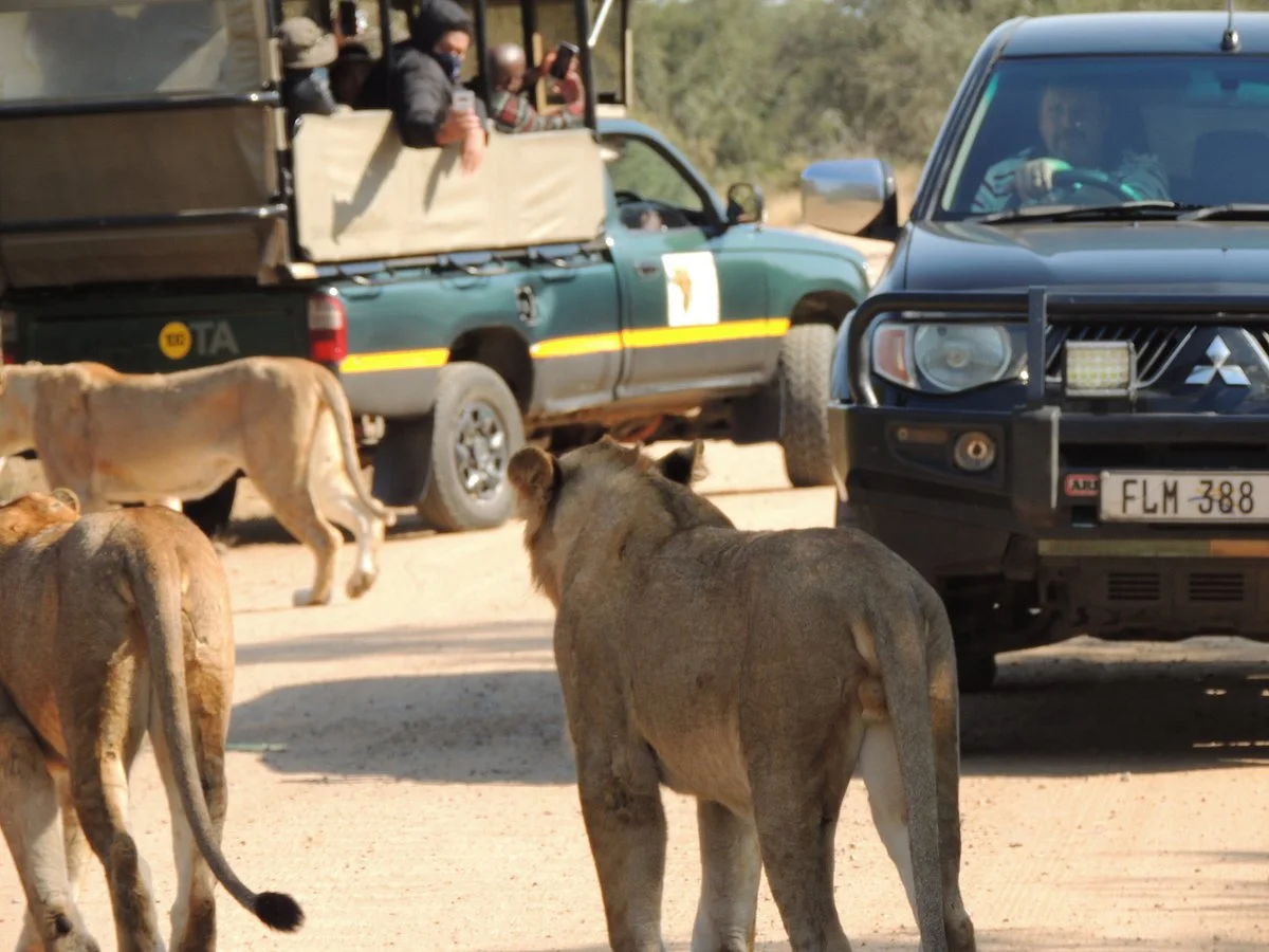Inn Africa Tours & Safaris