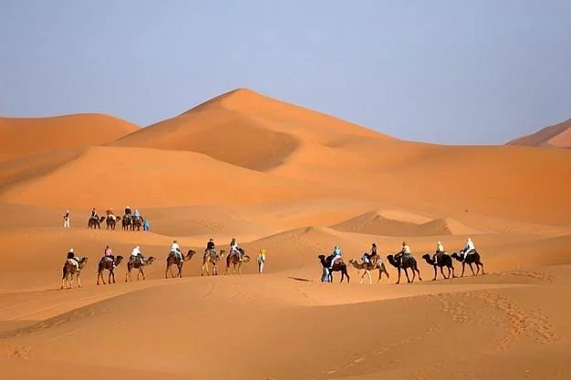 AllinMorocco
